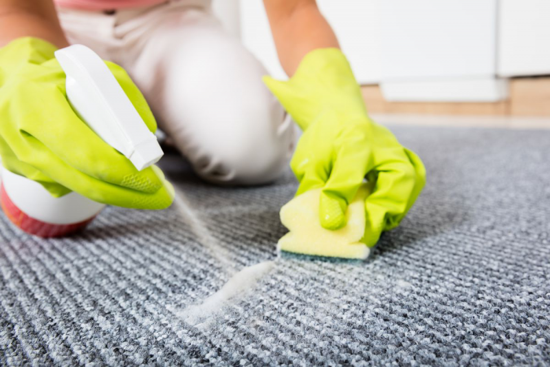 How To Get Blood Out Of Carpet Remove In Two Shakes ValueHunta